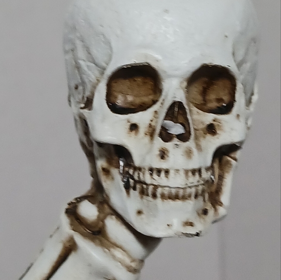 Martha Stewart Halloween Skull Gothic Candelabra 3 Arm Taper Candle Holder - Picture 8 of 15